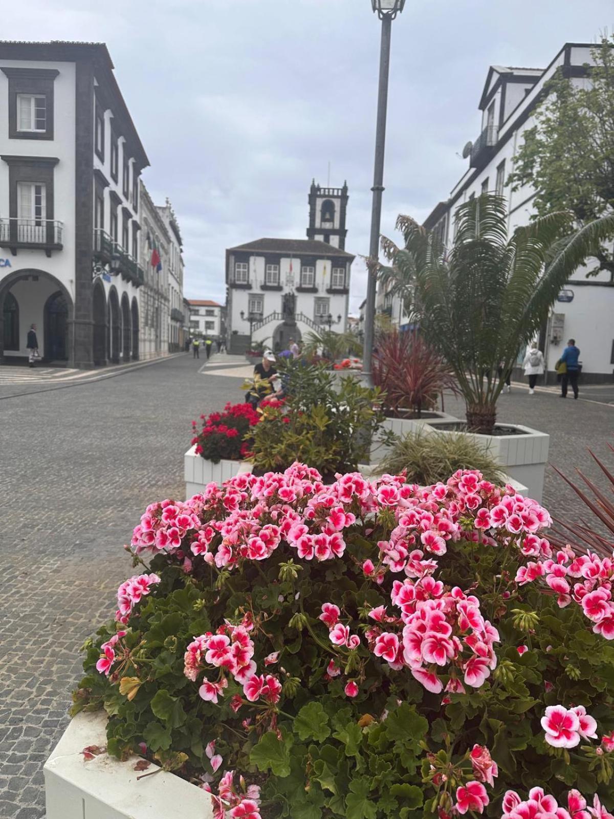 Azor International Apartment I Ponta Delgada Exterior foto